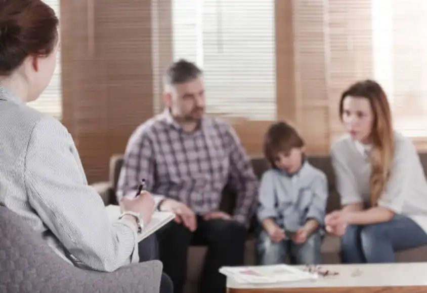 Child Custody and Relocation in International Family Disputes Redbridge